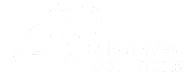 Action Web Solutions